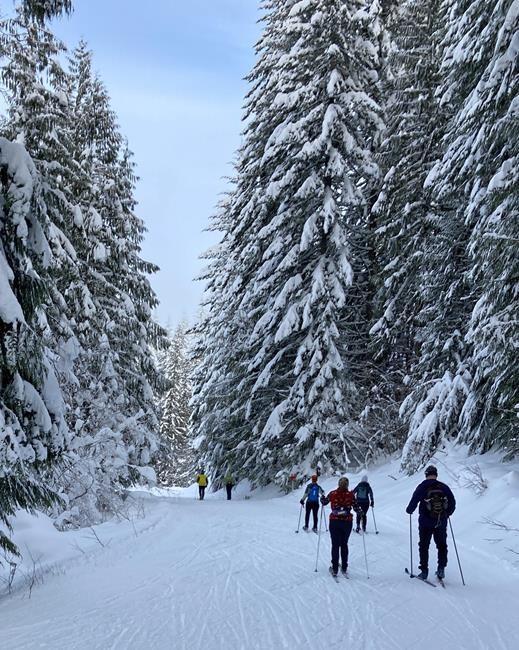 Climate change makes the future of Nordic skiing uncertain | iNFOnews.ca