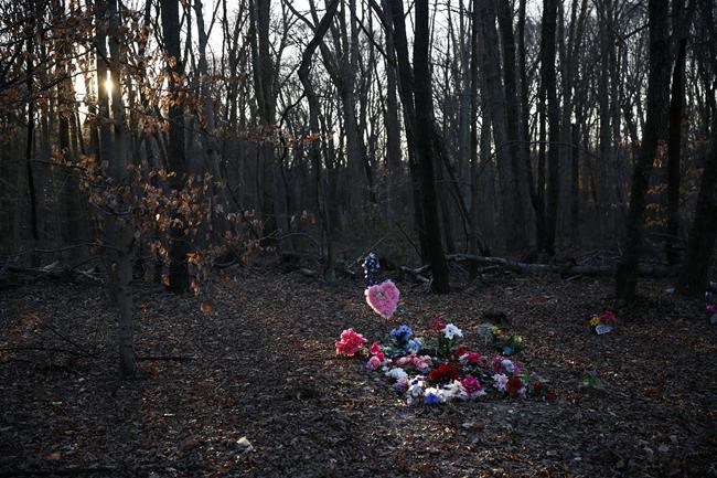 Judge refuses to toss excessive force claims in man's death | iNFOnews.ca