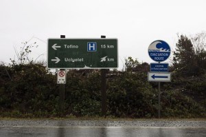 CP174523985