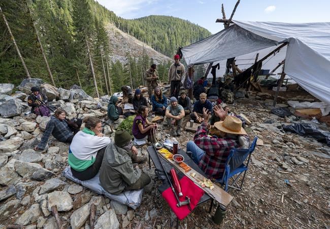 B.C. Appeal Court extends injunction against old-growth logging protests | iNFOnews.ca