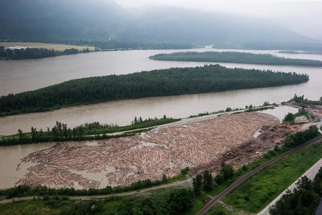 B.C. forest watchdog recommends improving forest management to protect water | iNFOnews.ca