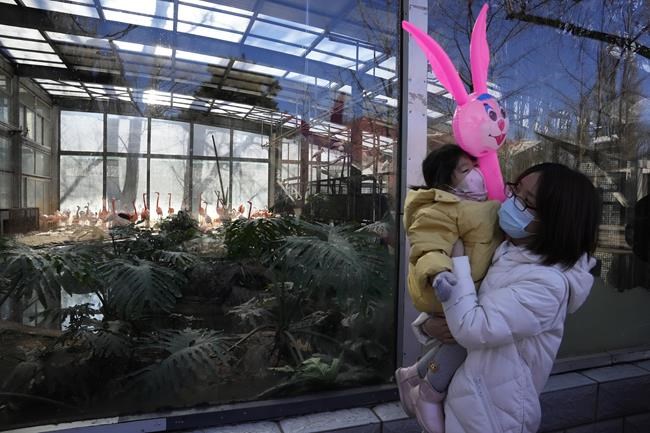 On Lunar New Year, Chinese offer prayers at temples | iNFOnews.ca