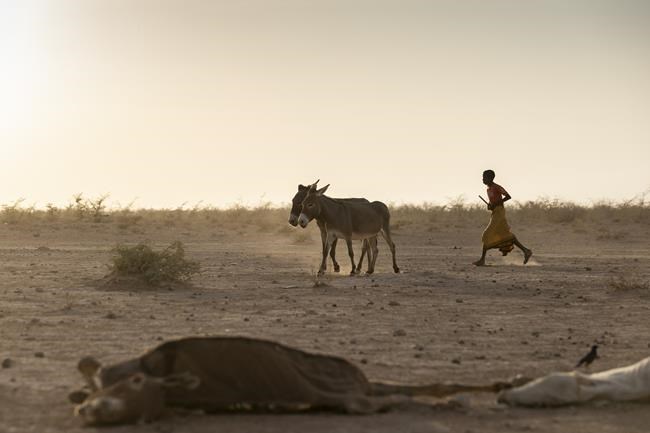 Millions at risk as drought threatens the Horn of Africa | iNFOnews.ca