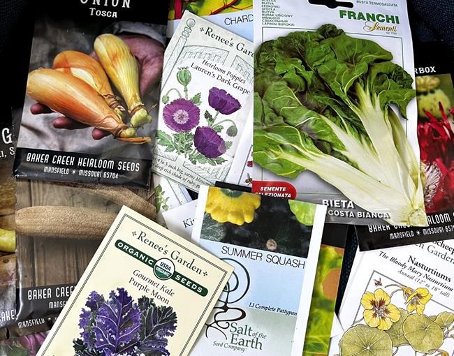 When to start planting seeds indoors? Check your frost date | iNFOnews.ca