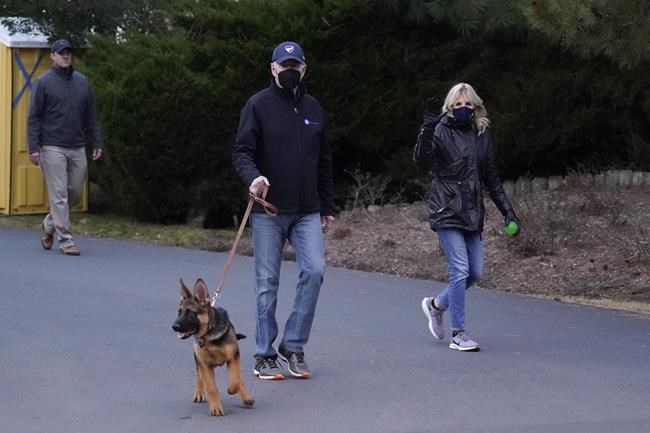 Biden dog Commander to make TV debut during 'Puppy Bowl' | iNFOnews.ca