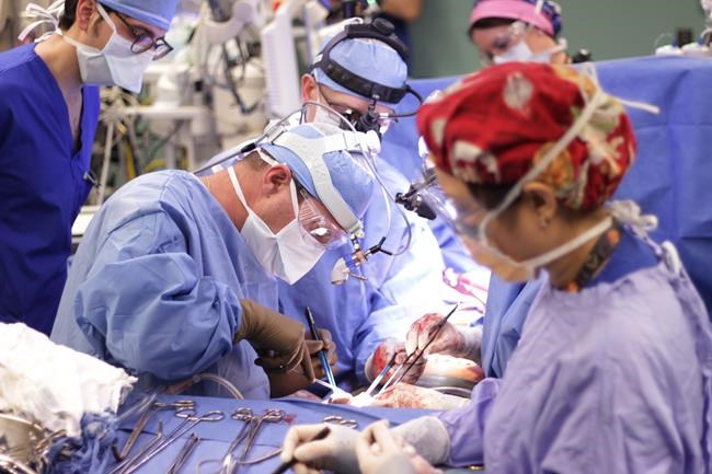 Researchers find potential to create universal type O blood organs for transplants | iNFOnews.ca