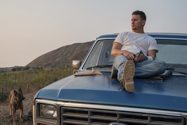Review: Channing Tatum and his dog co-star raise the woof | iNFOnews.ca