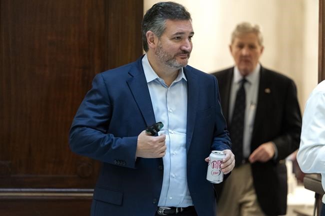 Mexico to Sen. Cruz: At least our candidates accept defeat | iNFOnews.ca