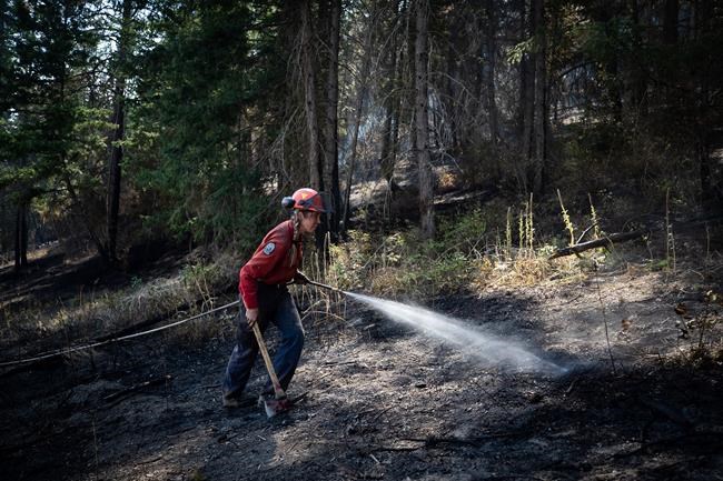 Budget funding for BC Wildfire Service garners mixed reaction from experts | iNFOnews.ca