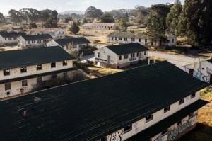 CP1691228397