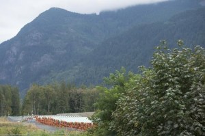 CP987746478