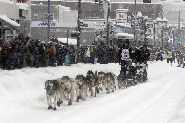 Iditarod musher Sass reaches halfway point 1st | iNFOnews.ca Iditarod musher Sass reaches halfway point 1st | iNFOnews.ca
