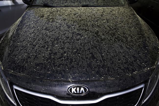 The Big Sneeze: Climate change to make pollen season nastier | iNFOnews.ca