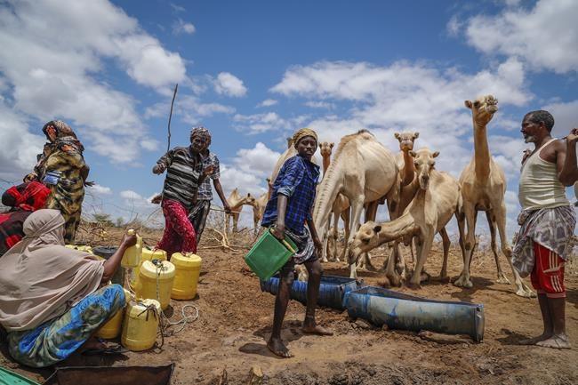 East Africa's hunger crisis needs global action, says Oxfam | iNFOnews.ca