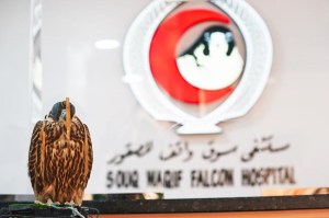 CP475321532