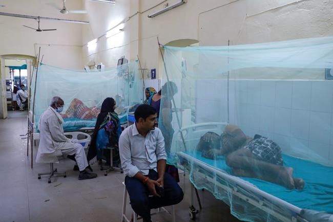 Mosquito net with new insecticide reduces malaria cases in Africa: study | iNFOnews.ca Mosquito net with new insecticide reduces malaria cases in Africa: study | iNFOnews.ca