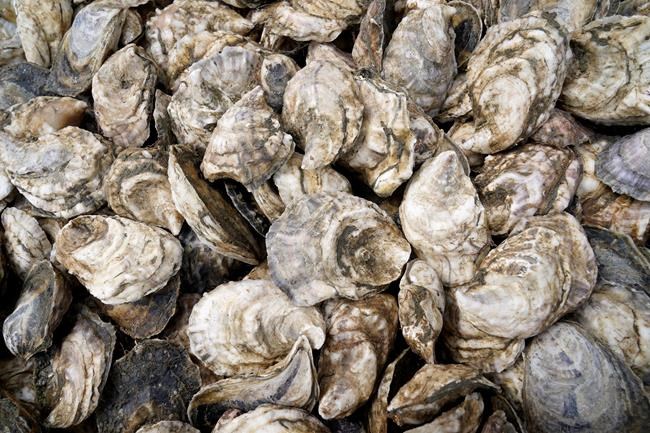Public health notice warns of norovirus outbreak linked to B.C. oysters | iNFOnews.ca