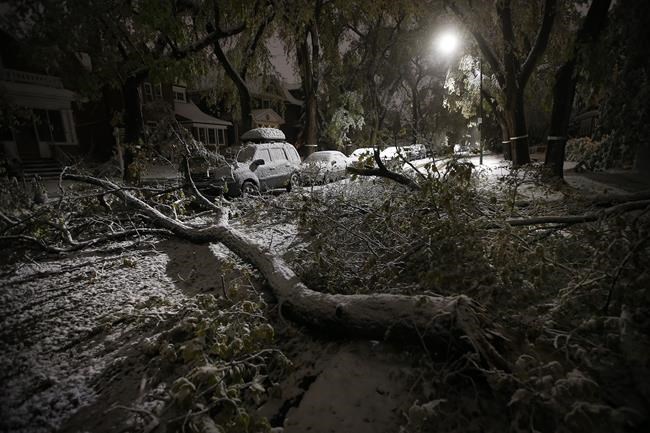Looming Prairie blizzard prompts school closures, cancelled flights, NHL game | iNFOnews.ca