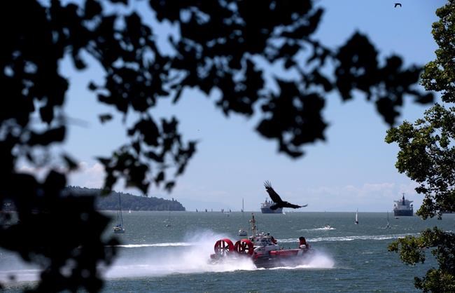 Crews search waters for man who fell off a sailboat near Nanaimo, B.C. | iNFOnews.ca Crews search waters for man who fell off a sailboat near Nanaimo, B.C. | iNFOnews.ca