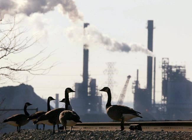 Biggest emitters paying smallest price on pollution, critics say | iNFOnews.ca