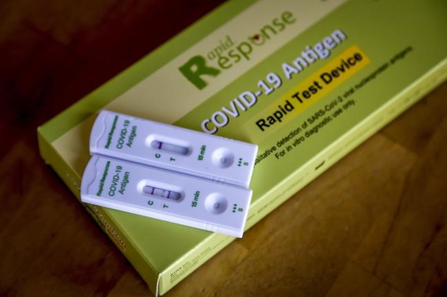 Unlike in the rest of Canada, free rapid COVID-19 tests not widely available in N.L. | iNFOnews.ca