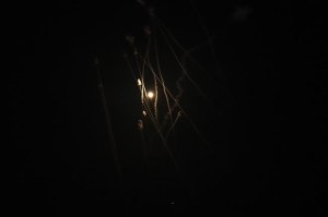 CP1844938519