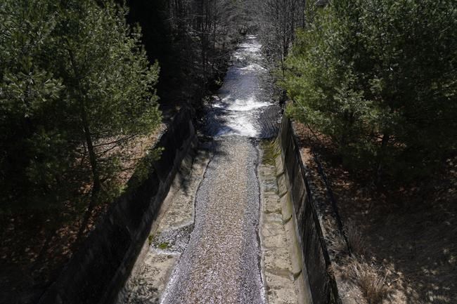 CP513968808