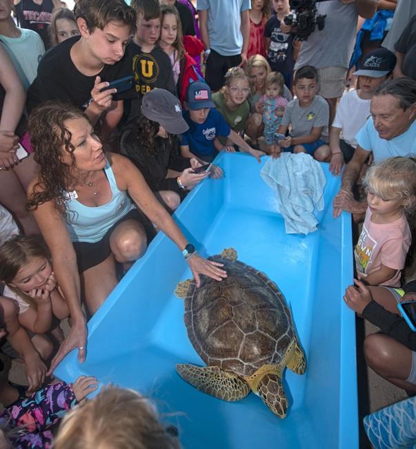 Healed sea turtle released to mark Earth Day in Florida Keys | iNFOnews.ca Healed sea turtle released to mark Earth Day in Florida Keys | iNFOnews.ca
