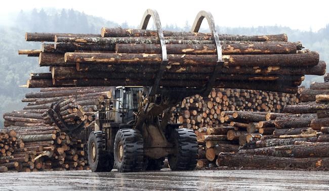 Appeals court nixes $1.1 billion timber award against Oregon | iNFOnews.ca Appeals court nixes $1.1 billion timber award against Oregon | iNFOnews.ca