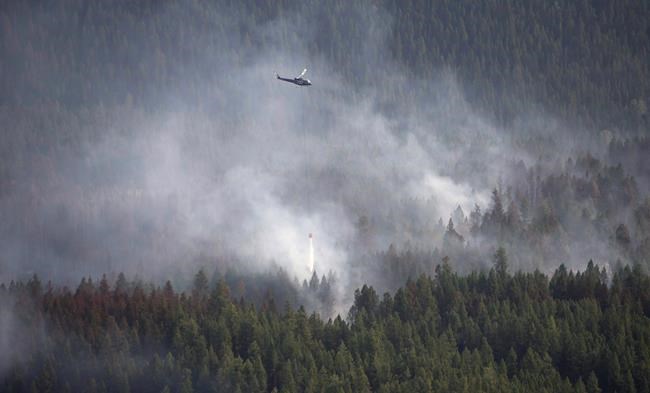 Curbing Canadian forest fires could be an affordable way to cut emissions: study | iNFOnews.ca