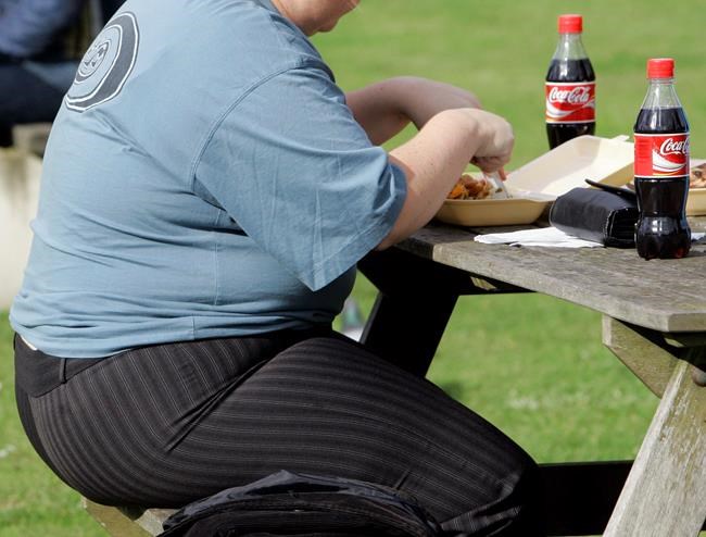 UN: Obesity levels in Europe at 'epidemic proportions' | iNFOnews.ca UN: Obesity levels in Europe at 'epidemic proportions' | iNFOnews.ca