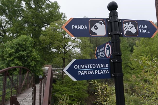 Fox chews through fence, kills 25 flamingos at National Zoo | iNFOnews.ca Fox chews through fence, kills 25 flamingos at National Zoo | iNFOnews.ca