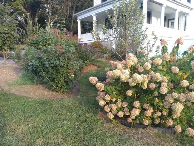 America's love affair with the lawn is getting messy | iNFOnews.ca