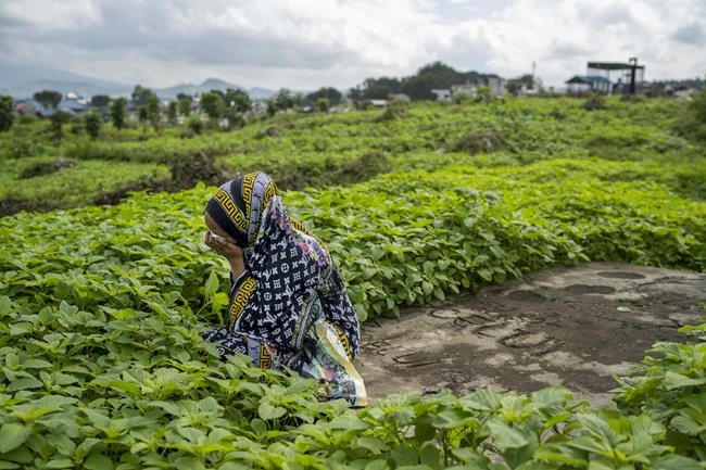 For widows in Africa, COVID-19 stole husbands, homes, future | iNFOnews.ca For widows in Africa, COVID-19 stole husbands, homes, future | iNFOnews.ca