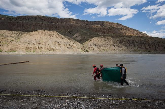 Researchers in B.C. to map landslides in Fraser River, help protect salmon | iNFOnews.ca Researchers in B.C. to map landslides in Fraser River, help protect salmon | iNFOnews.ca