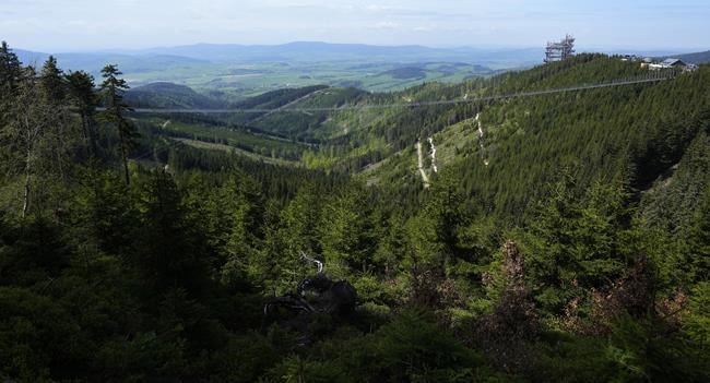 Longest pedestrian suspension bridge opens in Czech resort | iNFOnews.ca