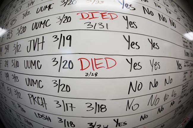 Death certificates reveal that US hit grim COVID milestone | iNFOnews.ca