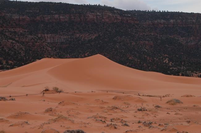 Boy dies after being buried under sand dune at state park | iNFOnews.ca