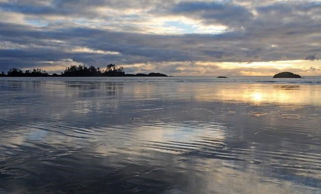 Wind knocks out power, weather warnings issued for southern B.C. | iNFOnews.ca Wind knocks out power, weather warnings issued for southern B.C. | iNFOnews.ca