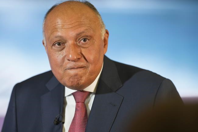 Egypt promises to allow protest, push pledges as COP27 host | iNFOnews.ca