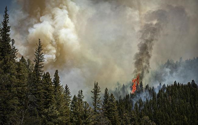 Cooler New Mexico weather aids big wildfire fight -- for now | iNFOnews.ca Cooler New Mexico weather aids big wildfire fight -- for now | iNFOnews.ca