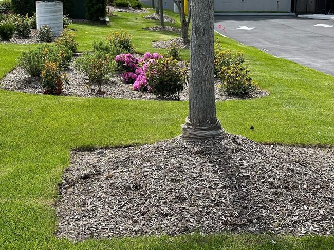 Gardening success means avoiding these common mistakes | iNFOnews.ca
