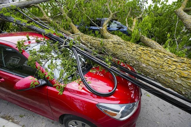 Insurance claimants face long wait times after deadly storm hits Ontario and Quebec | iNFOnews.ca Insurance claimants face long wait times after deadly storm hits Ontario and Quebec | iNFOnews.ca