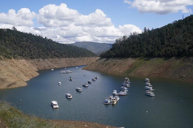 California cuts grass watering down as drought dries West | iNFOnews.ca