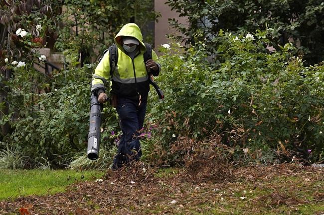 Council to phase out noisy, polluting, gas-fuelled garden tools in Oak Bay, B.C. | iNFOnews.ca Council to phase out noisy, polluting, gas-fuelled garden tools in Oak Bay, B.C. | iNFOnews.ca