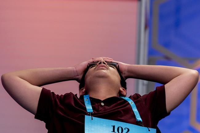 Vocab questions reduce spelling bee to 3 letters: A, B or C | iNFOnews.ca