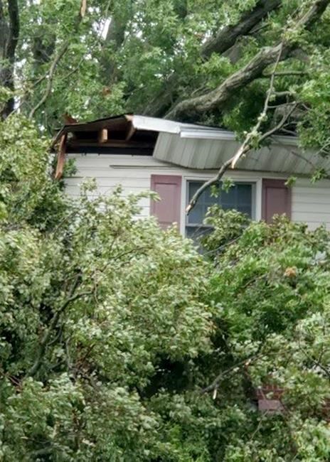 Protecting your garden before and after severe storms | iNFOnews.ca