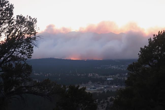 Flagstaff wildfire forces evacuations, steadily grows | iNFOnews.ca