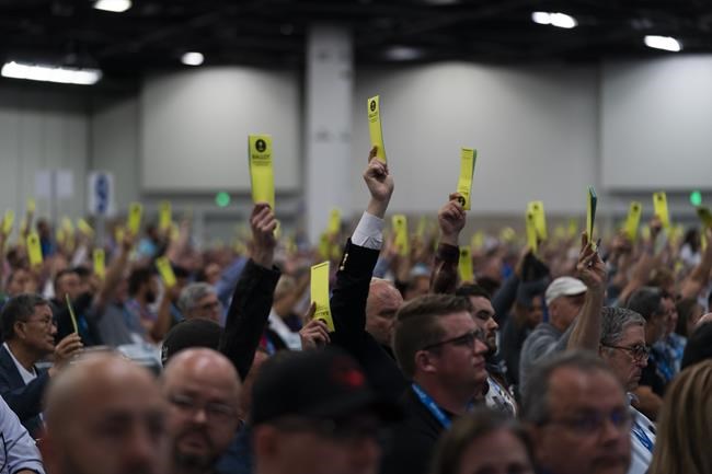 New SBC President commits to move sex abuse reforms forward | iNFOnews.ca