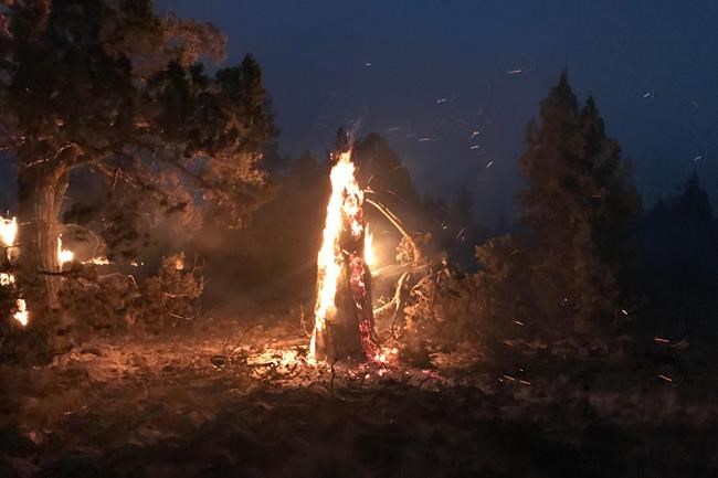Report: Fires, heat waves cause 'climate anxiety' in youth | iNFOnews.ca CP495591618